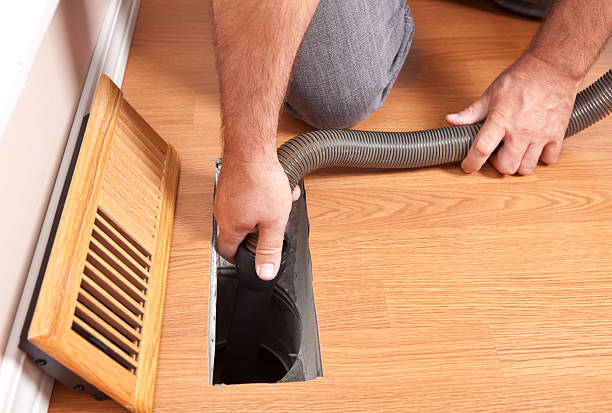 Best Professional Duct Cleaning Services  in Silver Grove, KY